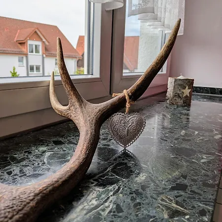 Apartment Sintfeldbude