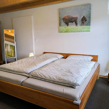 Apartment Sintfeldbude