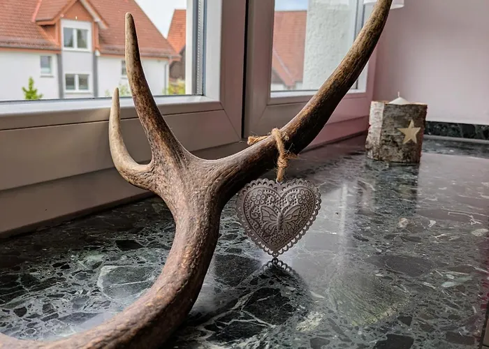 Apartmán Sintfeldbude