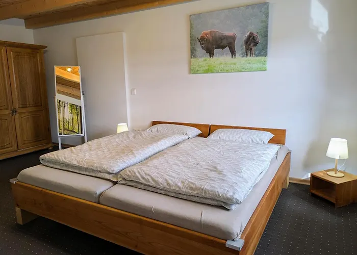 Apartmán Sintfeldbude